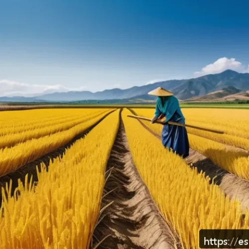 Home 33 합성생물학의 혁신적 연구 사례 - A vibrant agricultural field in a sunny Spanish countryside featuring drought-resistant golden rice ...